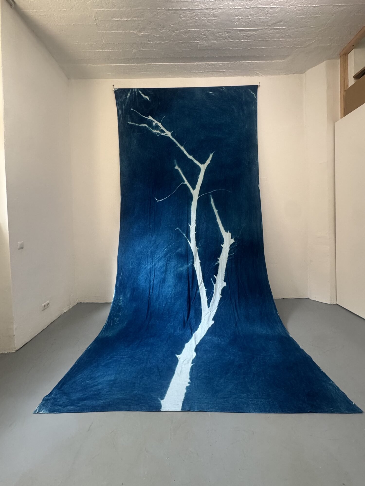Björn Drenkwitz, Past and Future Forest, seit 2022, Cyanotypie